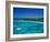 Deep Bay, Beach and Yachts, Blue Water, Antigua, Caribbean Islands-Steve Vidler-Framed Photographic Print