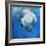 Deep Blue, 2016-Mark Adlington-Framed Giclee Print