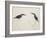 Deep Blue Kingfisher-J. Briois-Framed Giclee Print