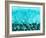 Deep Blue Sea-Jessica Torrant-Framed Art Print