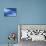 Deep Blue Shallows-Valda Bailey-Photographic Print displayed on a wall