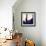 Deep Blue Works-Brent Abe-Framed Giclee Print displayed on a wall
