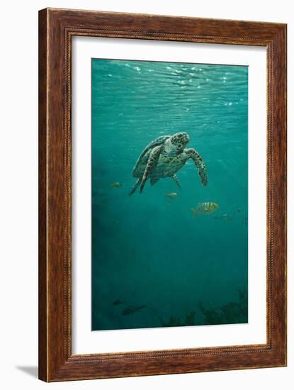 Deep Calm-Michael Jackson-Framed Giclee Print