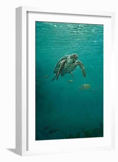 Deep Calm-Michael Jackson-Framed Giclee Print