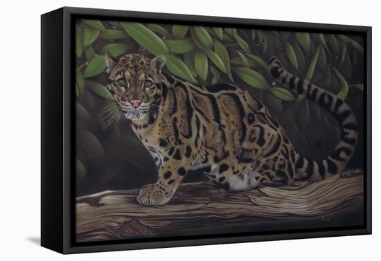 Deep Cover-Karie-Ann Cooper-Framed Premier Image Canvas