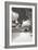 Deep Creek Tree BW-Larry Malvin-Framed Photographic Print