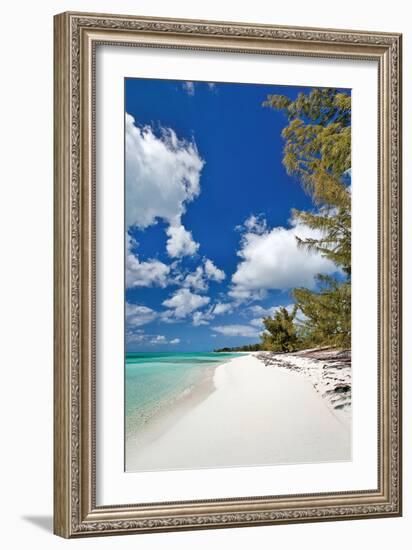 Deep Creek Tree-Larry Malvin-Framed Photographic Print