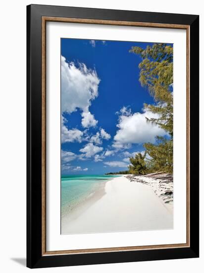 Deep Creek Tree-Larry Malvin-Framed Photographic Print