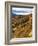 Deep Creek Valley, Great Smoky Mountains National Park, North Carolina, USA-Adam Jones-Framed Photographic Print