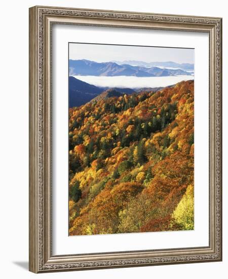 Deep Creek Valley, Great Smoky Mountains National Park, North Carolina, USA-Adam Jones-Framed Photographic Print