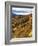 Deep Creek Valley, Great Smoky Mountains National Park, North Carolina, USA-Adam Jones-Framed Photographic Print