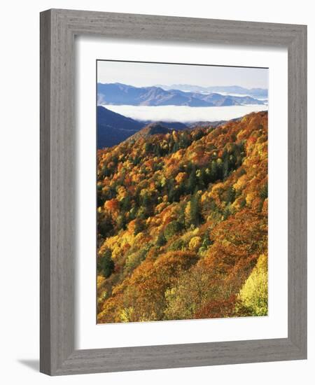 Deep Creek Valley, Great Smoky Mountains National Park, North Carolina, USA-Adam Jones-Framed Photographic Print