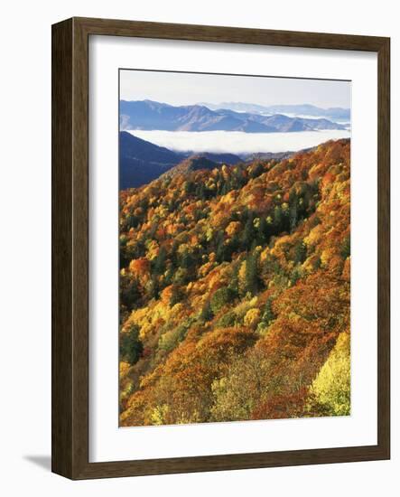 Deep Creek Valley, Great Smoky Mountains National Park, North Carolina, USA-Adam Jones-Framed Photographic Print