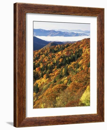 Deep Creek Valley, Great Smoky Mountains National Park, North Carolina, USA-Adam Jones-Framed Photographic Print