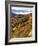 Deep Creek Valley, Great Smoky Mountains National Park, North Carolina, USA-Adam Jones-Framed Photographic Print