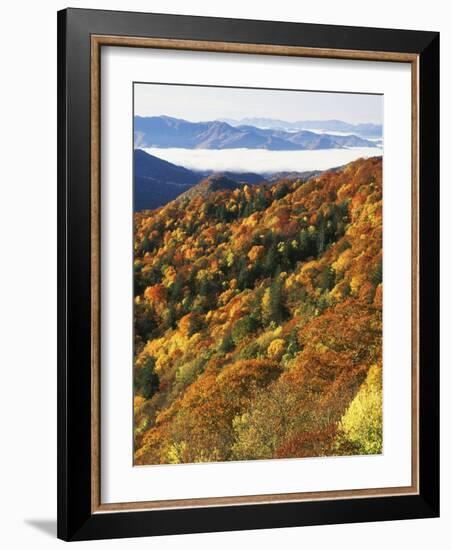 Deep Creek Valley, Great Smoky Mountains National Park, North Carolina, USA-Adam Jones-Framed Photographic Print