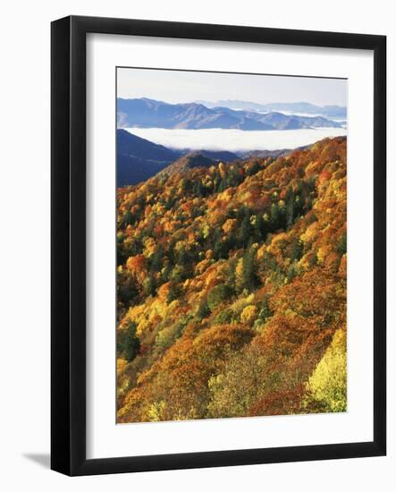 Deep Creek Valley, Great Smoky Mountains National Park, North Carolina, USA-Adam Jones-Framed Photographic Print