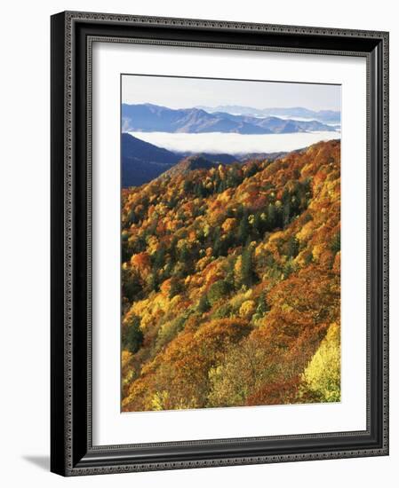 Deep Creek Valley, Great Smoky Mountains National Park, North Carolina, USA-Adam Jones-Framed Photographic Print