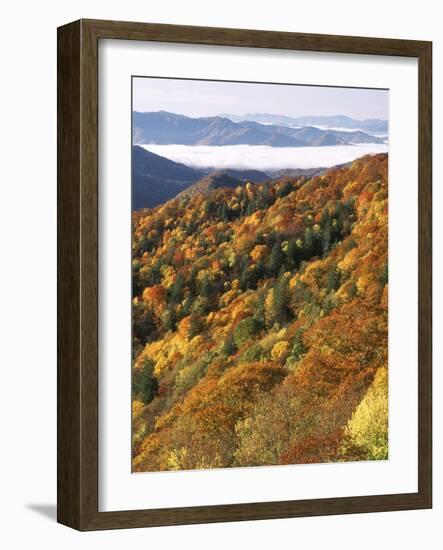 Deep Creek Valley, Great Smoky Mountains National Park, North Carolina, USA-Adam Jones-Framed Photographic Print