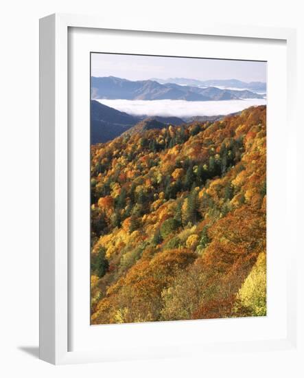 Deep Creek Valley, Great Smoky Mountains National Park, North Carolina, USA-Adam Jones-Framed Photographic Print