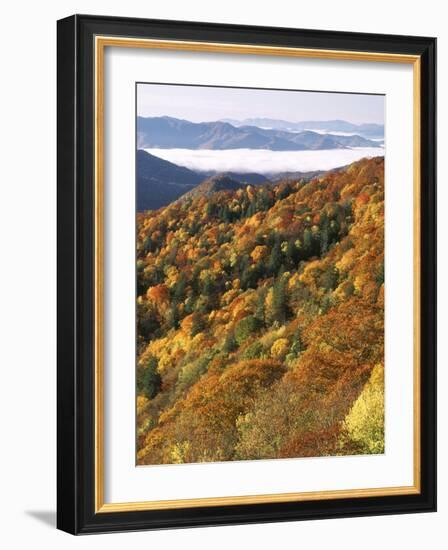 Deep Creek Valley, Great Smoky Mountains National Park, North Carolina, USA-Adam Jones-Framed Photographic Print