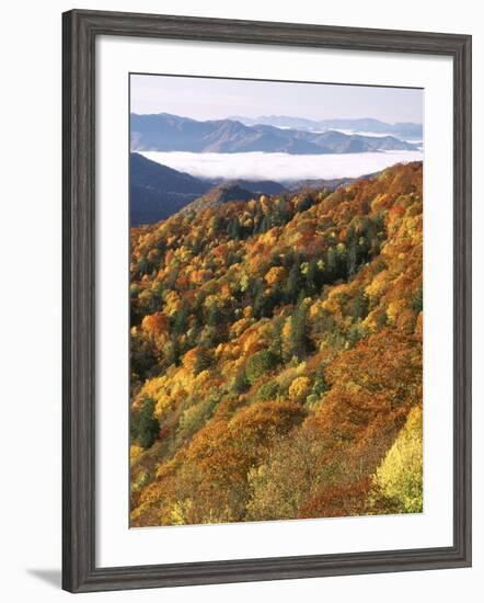 Deep Creek Valley, Great Smoky Mountains National Park, North Carolina, USA-Adam Jones-Framed Photographic Print