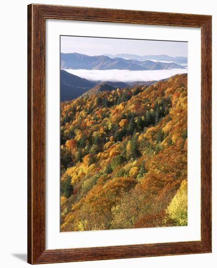 Deep Creek Valley, Great Smoky Mountains National Park, North Carolina, USA-Adam Jones-Framed Photographic Print