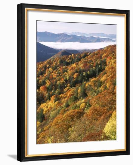 Deep Creek Valley, Great Smoky Mountains National Park, North Carolina, USA-Adam Jones-Framed Photographic Print