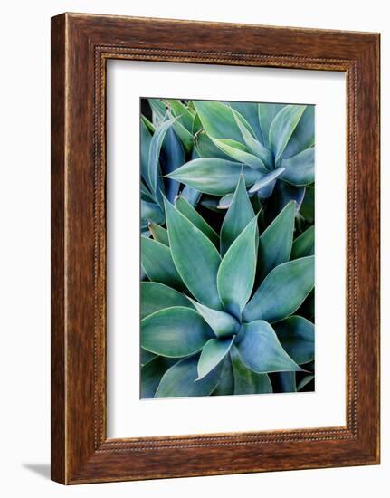 Deep Dive I-Elizabeth Urquhart-Framed Photographic Print