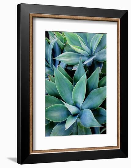 Deep Dive I-Elizabeth Urquhart-Framed Photographic Print