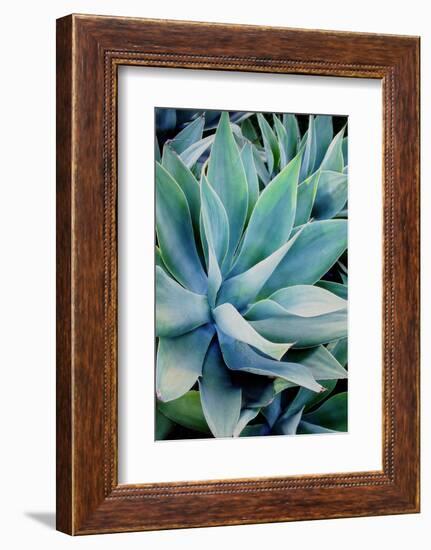 Deep Dive II-Elizabeth Urquhart-Framed Photographic Print