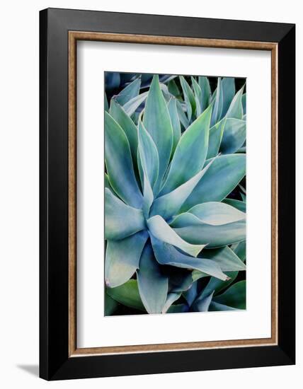 Deep Dive II-Elizabeth Urquhart-Framed Photographic Print