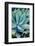 Deep Dive II-Elizabeth Urquhart-Framed Photographic Print