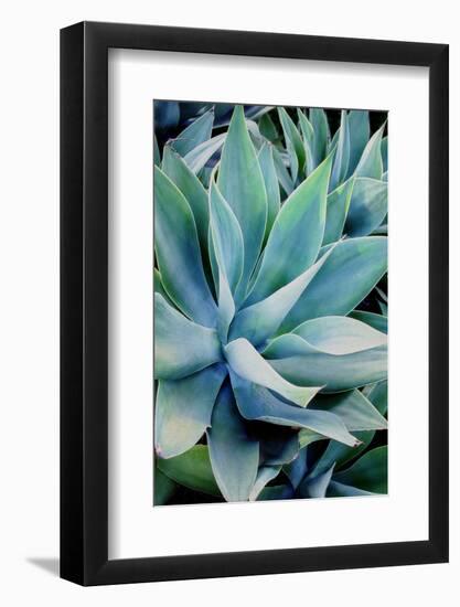 Deep Dive II-Elizabeth Urquhart-Framed Photographic Print