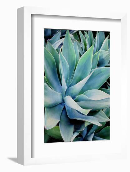 Deep Dive II-Elizabeth Urquhart-Framed Photographic Print