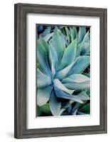 Deep Dive II-Elizabeth Urquhart-Framed Photo