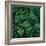 Deep Emerald-Elisabeth Fredriksson-Framed Giclee Print