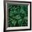 Deep Emerald-Elisabeth Fredriksson-Framed Giclee Print