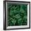 Deep Emerald-Elisabeth Fredriksson-Framed Giclee Print