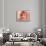 Deep Emotion-Talantbek Chekirov-Framed Premium Giclee Print displayed on a wall