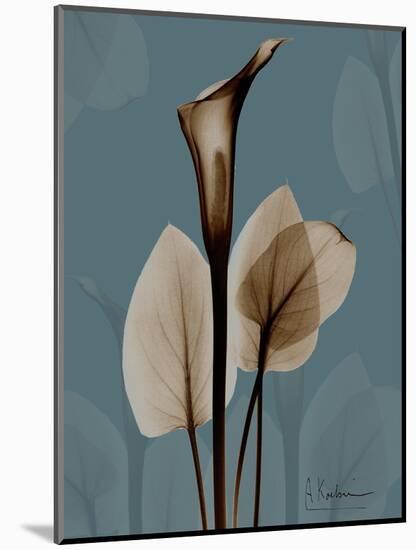 Deep Flora 1-Albert Koetsier-Mounted Premium Giclee Print