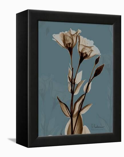 Deep Flora 2-Albert Koetsier-Framed Stretched Canvas