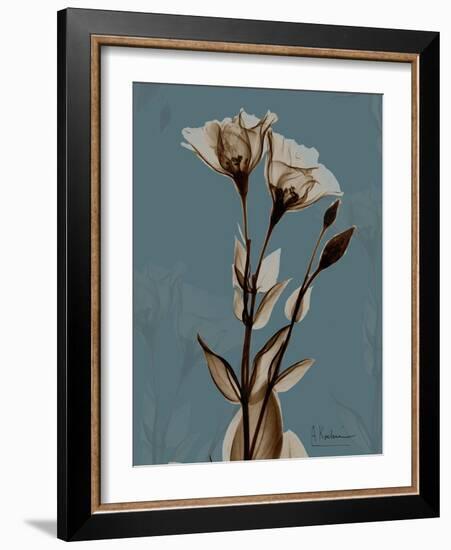 Deep Flora 2-Albert Koetsier-Framed Premium Giclee Print