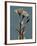 Deep Flora 2-Albert Koetsier-Framed Premium Giclee Print