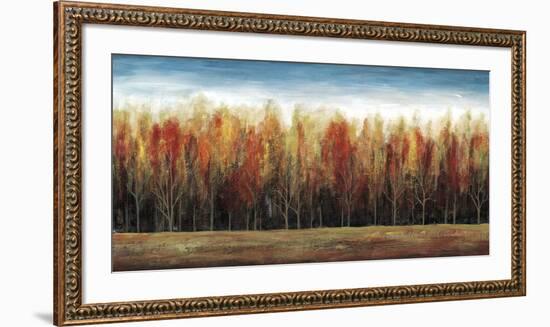 Deep Forest-Stephane Fontaine-Framed Art Print