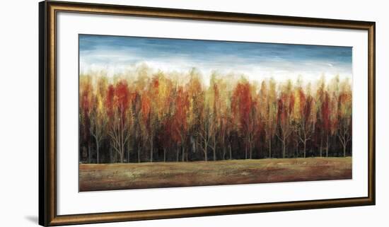 Deep Forest-Stephane Fontaine-Framed Art Print