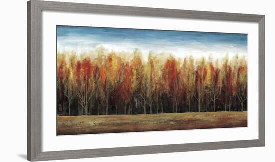 Deep Forest-Stephane Fontaine-Framed Art Print