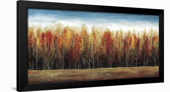 Deep Forest-Stephane Fontaine-Framed Art Print