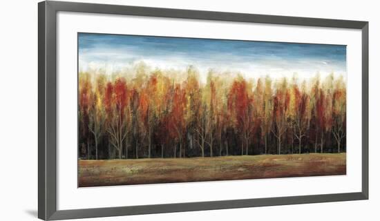 Deep Forest-Stephane Fontaine-Framed Art Print