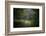 Deep Forest-Philippe Manguin-Framed Photographic Print